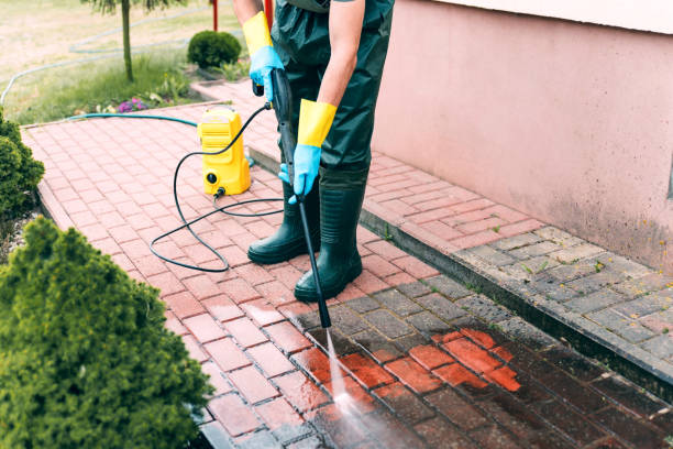 Best Dumpster Area Cleaning  in Barrackville, WV